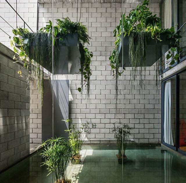 Hermosa decoración de fachada interna con piso de espejo de agua, bloques estructurales a la vista y plantas que ofrecen una estética ecológica y sostenible.